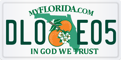 FL license plate DLOE05