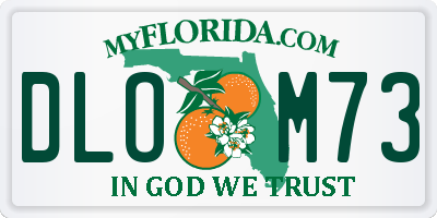 FL license plate DLOM73