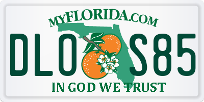 FL license plate DLOS85