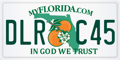 FL license plate DLRC45