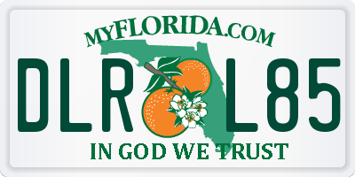 FL license plate DLRL85