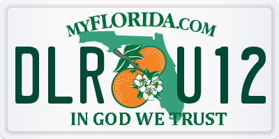 FL license plate DLRU12