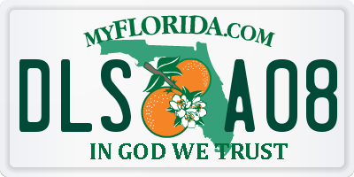 FL license plate DLSA08