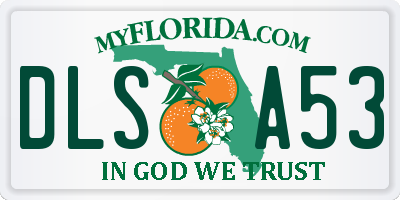 FL license plate DLSA53