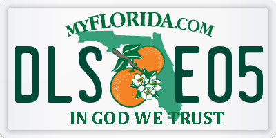 FL license plate DLSE05
