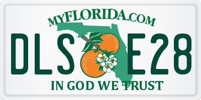 FL license plate DLSE28