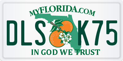 FL license plate DLSK75