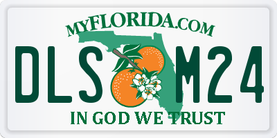 FL license plate DLSM24