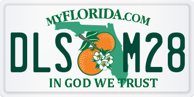 FL license plate DLSM28