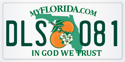 FL license plate DLSO81