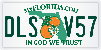 FL license plate DLSV57