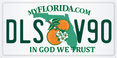 FL license plate DLSV90