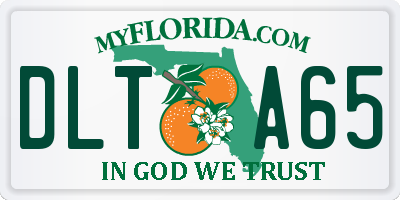 FL license plate DLTA65