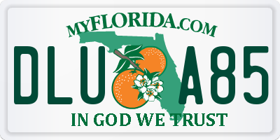 FL license plate DLUA85