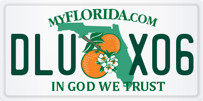 FL license plate DLUX06