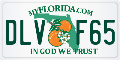 FL license plate DLVF65