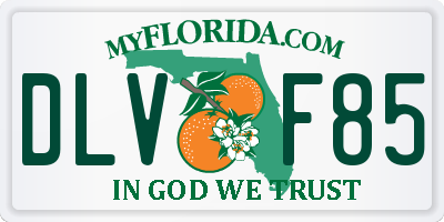 FL license plate DLVF85