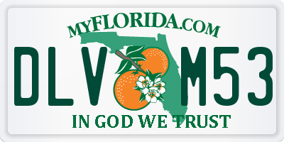 FL license plate DLVM53