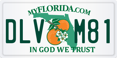 FL license plate DLVM81