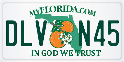FL license plate DLVN45