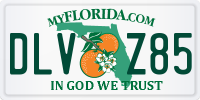 FL license plate DLVZ85