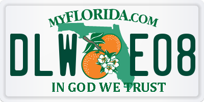 FL license plate DLWE08