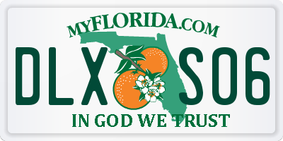 FL license plate DLXS06