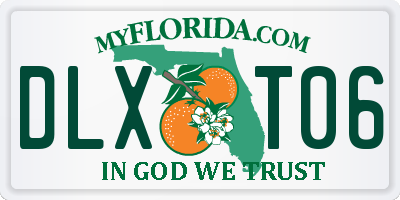 FL license plate DLXT06
