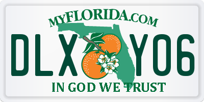 FL license plate DLXY06