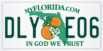 FL license plate DLYE06
