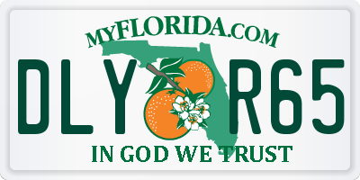 FL license plate DLYR65