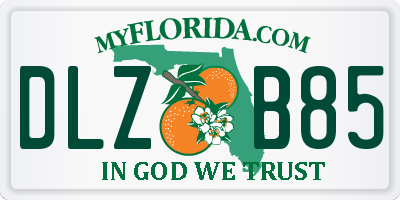 FL license plate DLZB85