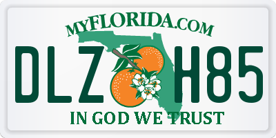 FL license plate DLZH85