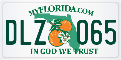 FL license plate DLZO65