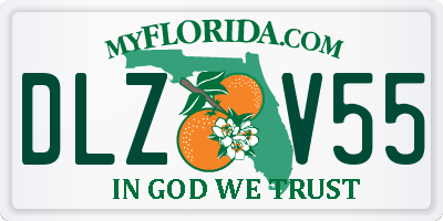 FL license plate DLZV55