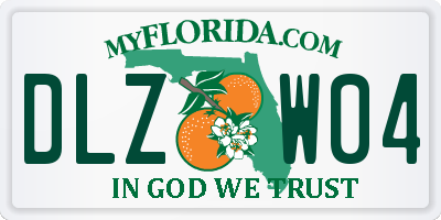 FL license plate DLZW04