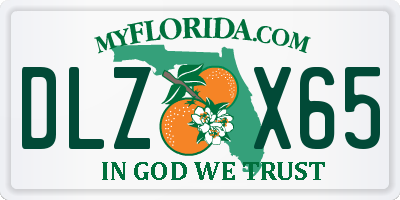 FL license plate DLZX65