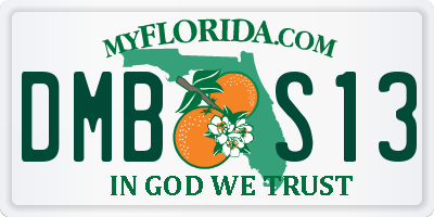 FL license plate DMBS13
