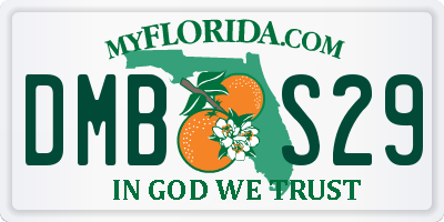 FL license plate DMBS29