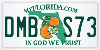 FL license plate DMBS73
