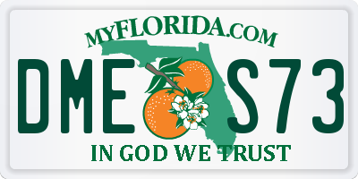 FL license plate DMES73
