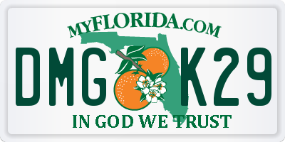 FL license plate DMGK29