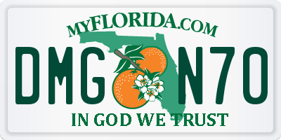 FL license plate DMGN70