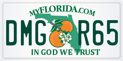 FL license plate DMGR65