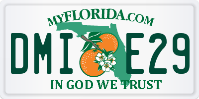 FL license plate DMIE29