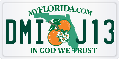FL license plate DMIJ13