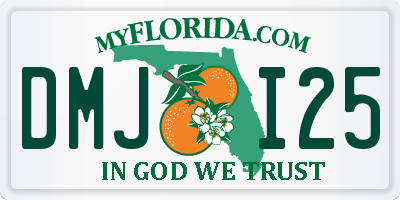 FL license plate DMJI25