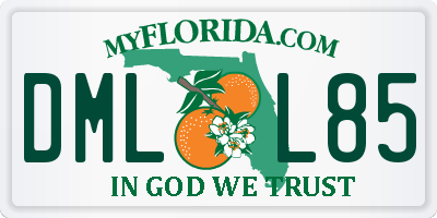 FL license plate DMLL85