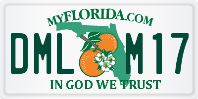 FL license plate DMLM17