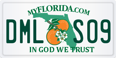 FL license plate DMLS09